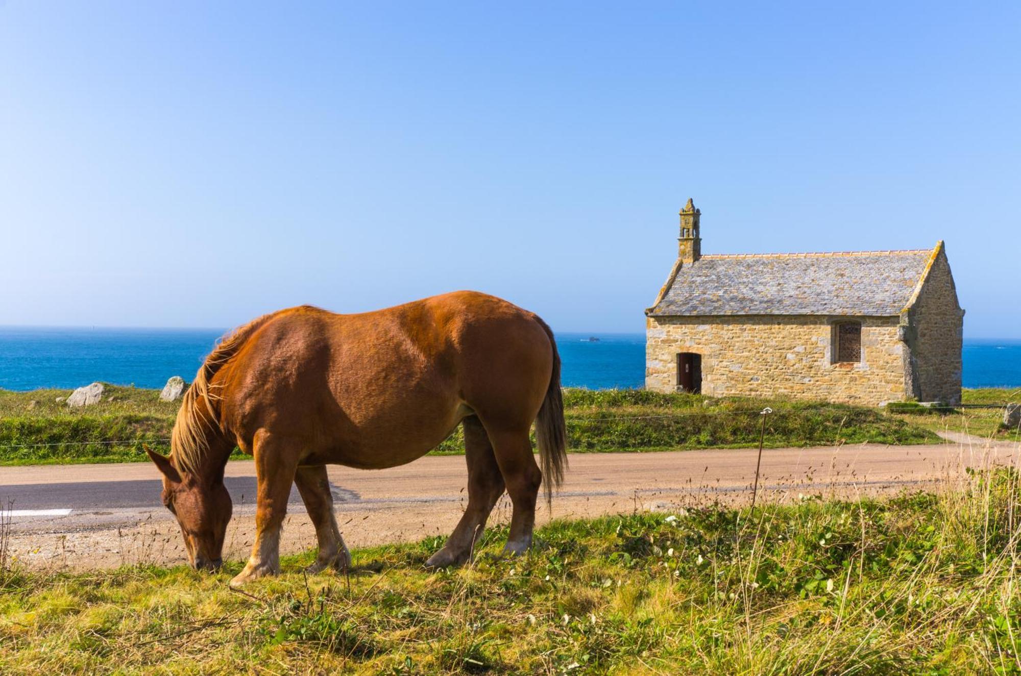 Ty Mor Bras - Maison Familiale A 2 Pas De La Plage Portsall Exterior foto